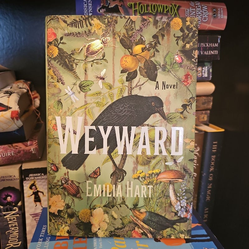 Weyward