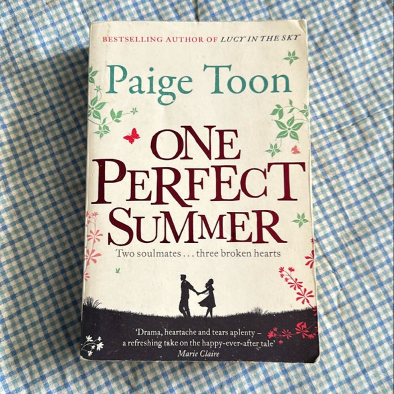 One Perfect Summer