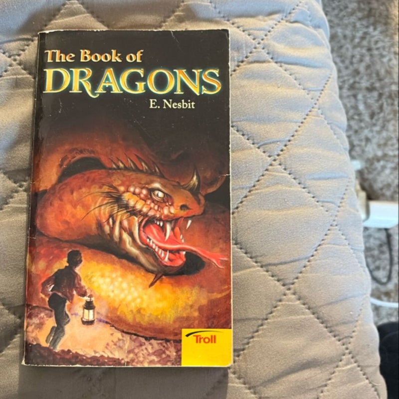 The book of Dragons 