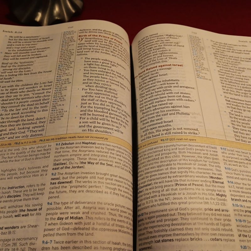 HCSB Study Bible, Black Bonded Leather 2010