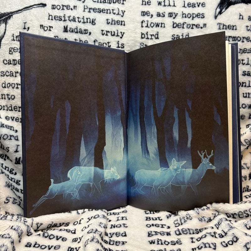The Luminaries: Owlcrate Edition
