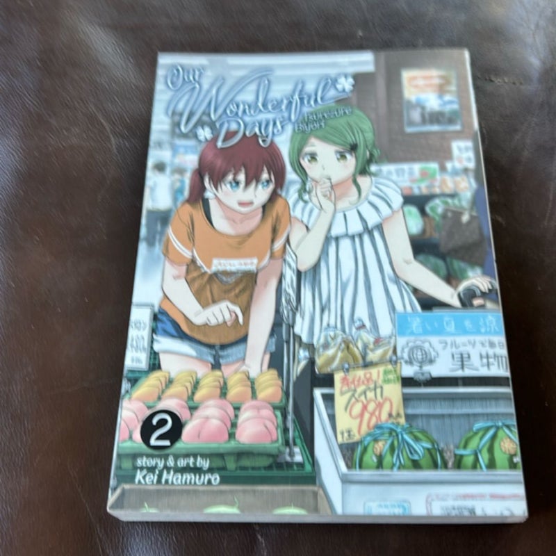 Our Wonderful Days: Tsurezure Biyori Vol. 2