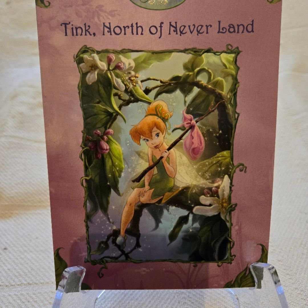 Tink, North of Never Land