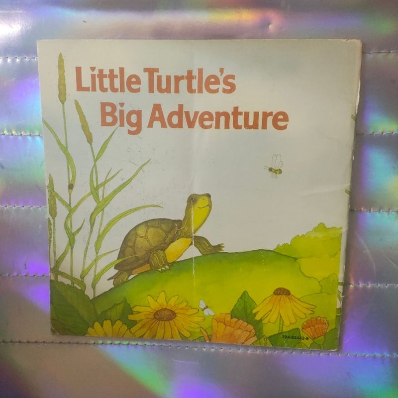 Little turtles Big adventure best book club ever vintage 1969