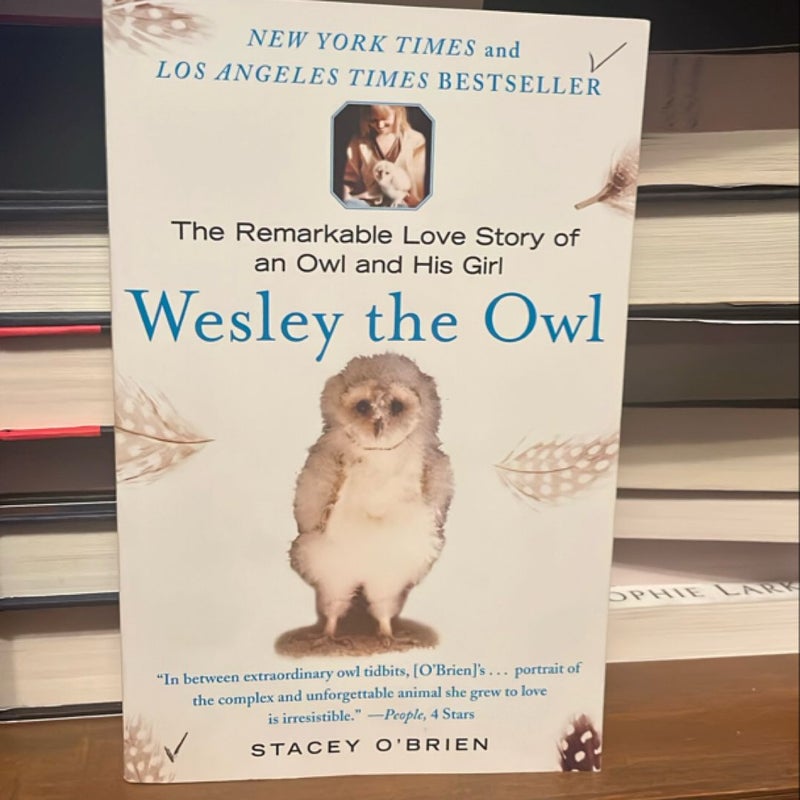 Wesley the Owl