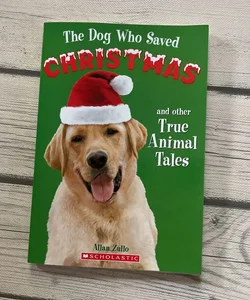 The dog who saved Christmas and other true animal tails