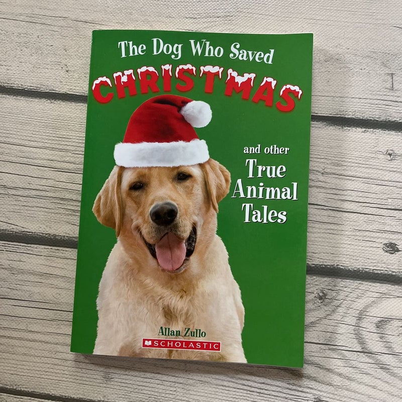 The dog who saved Christmas and other true animal tails