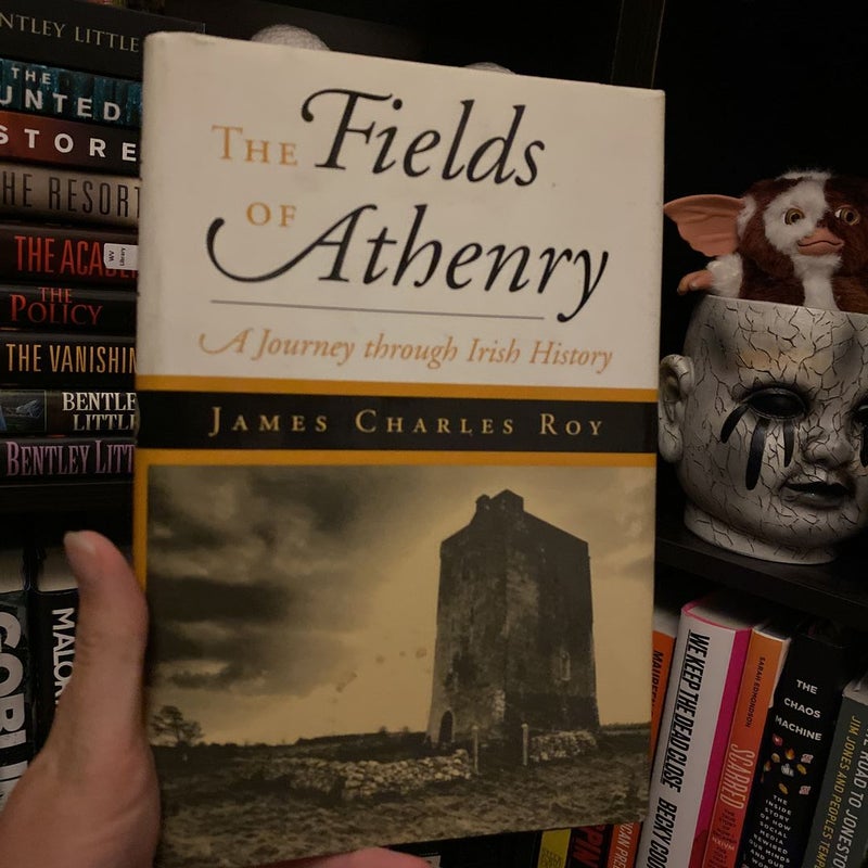 Fields of Athenry