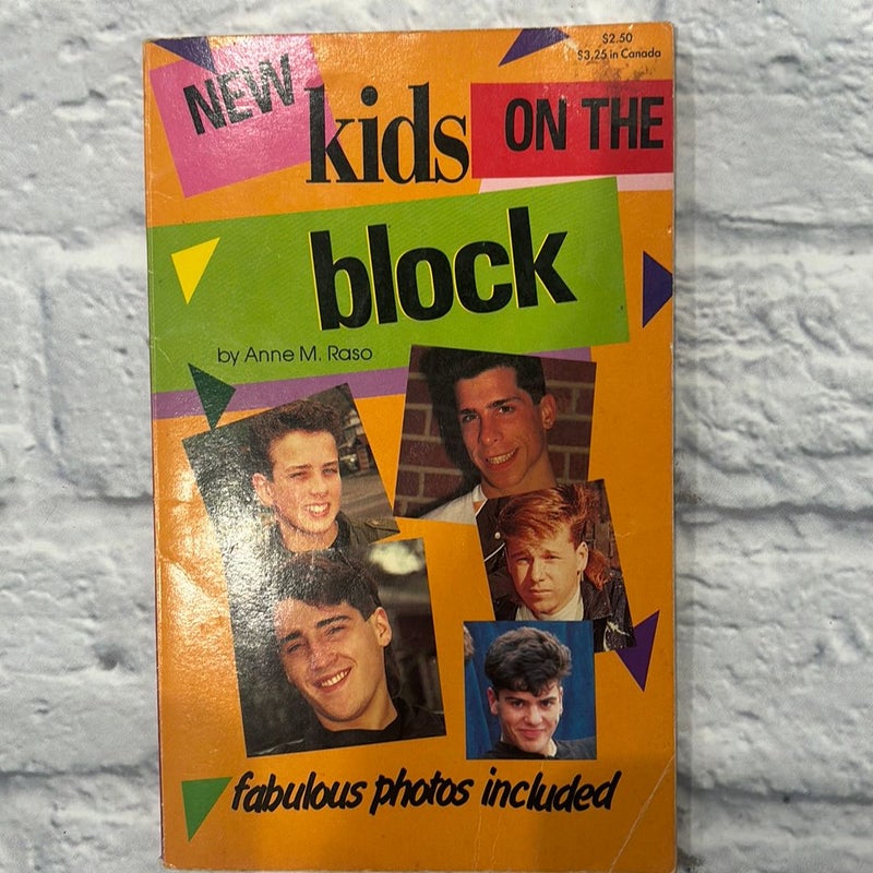 New Kids on the Block Unauthorized Biography 