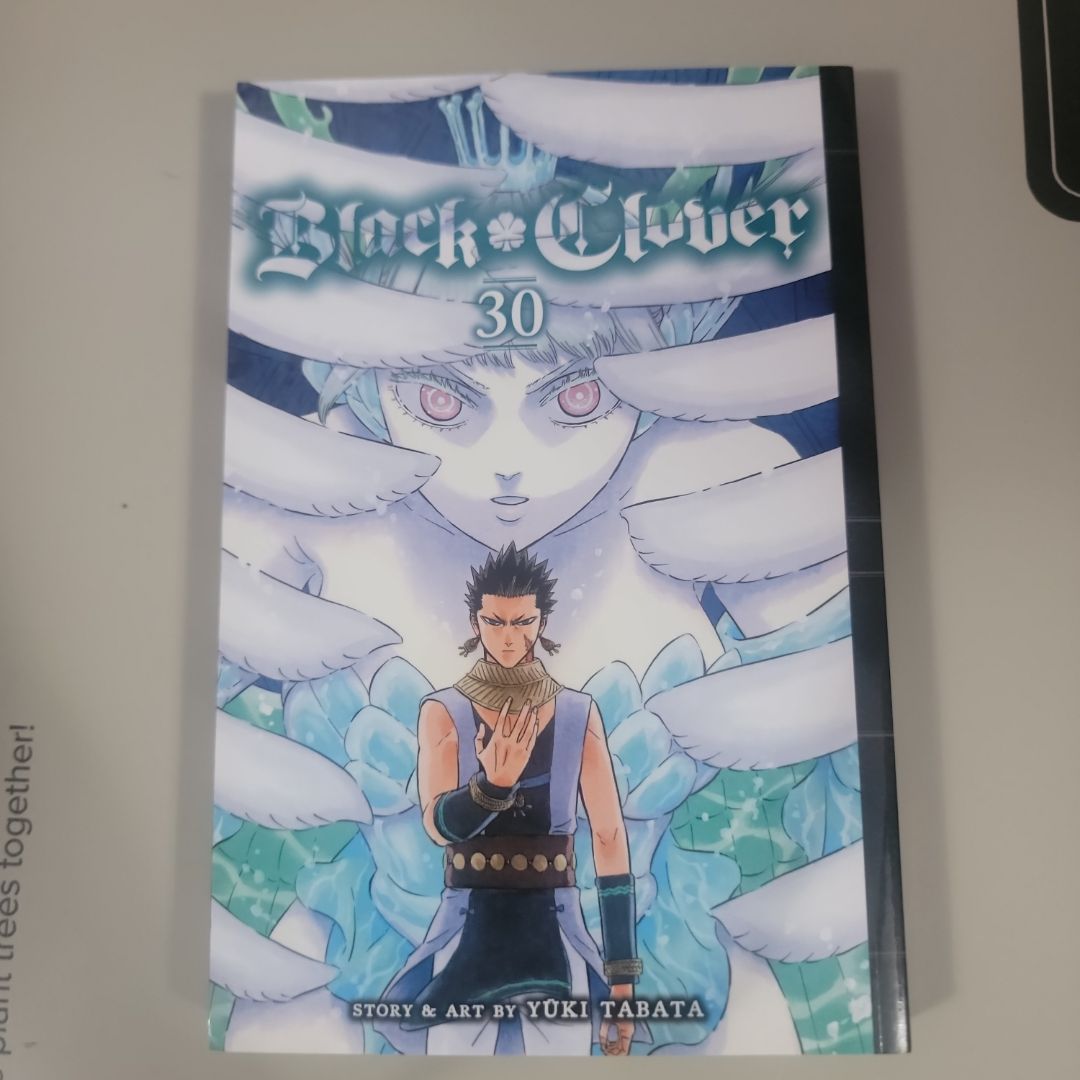Black Clover, Vol. 30