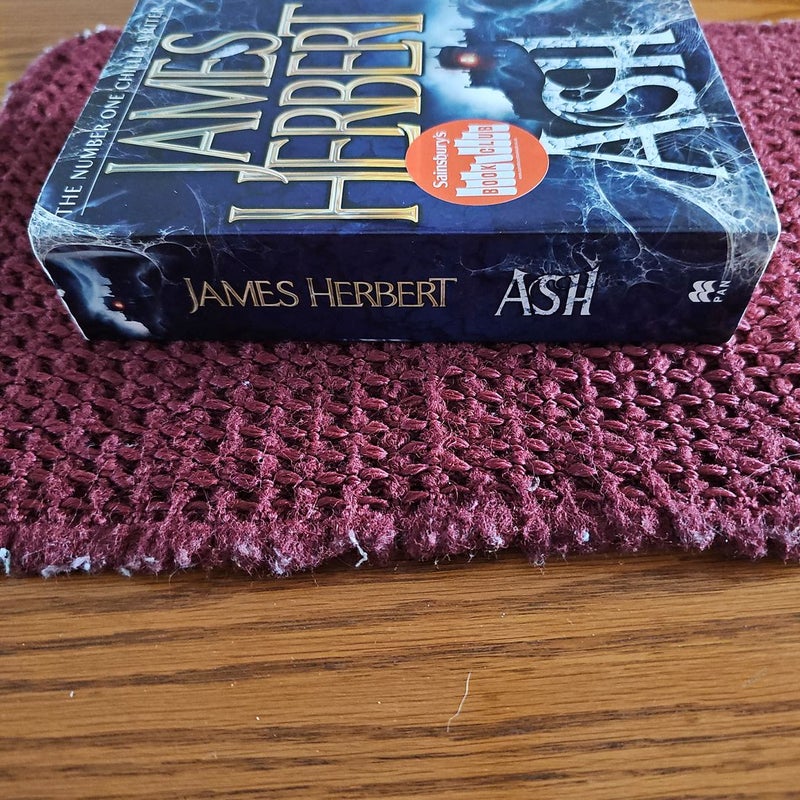 Ash: A David Ash Novel