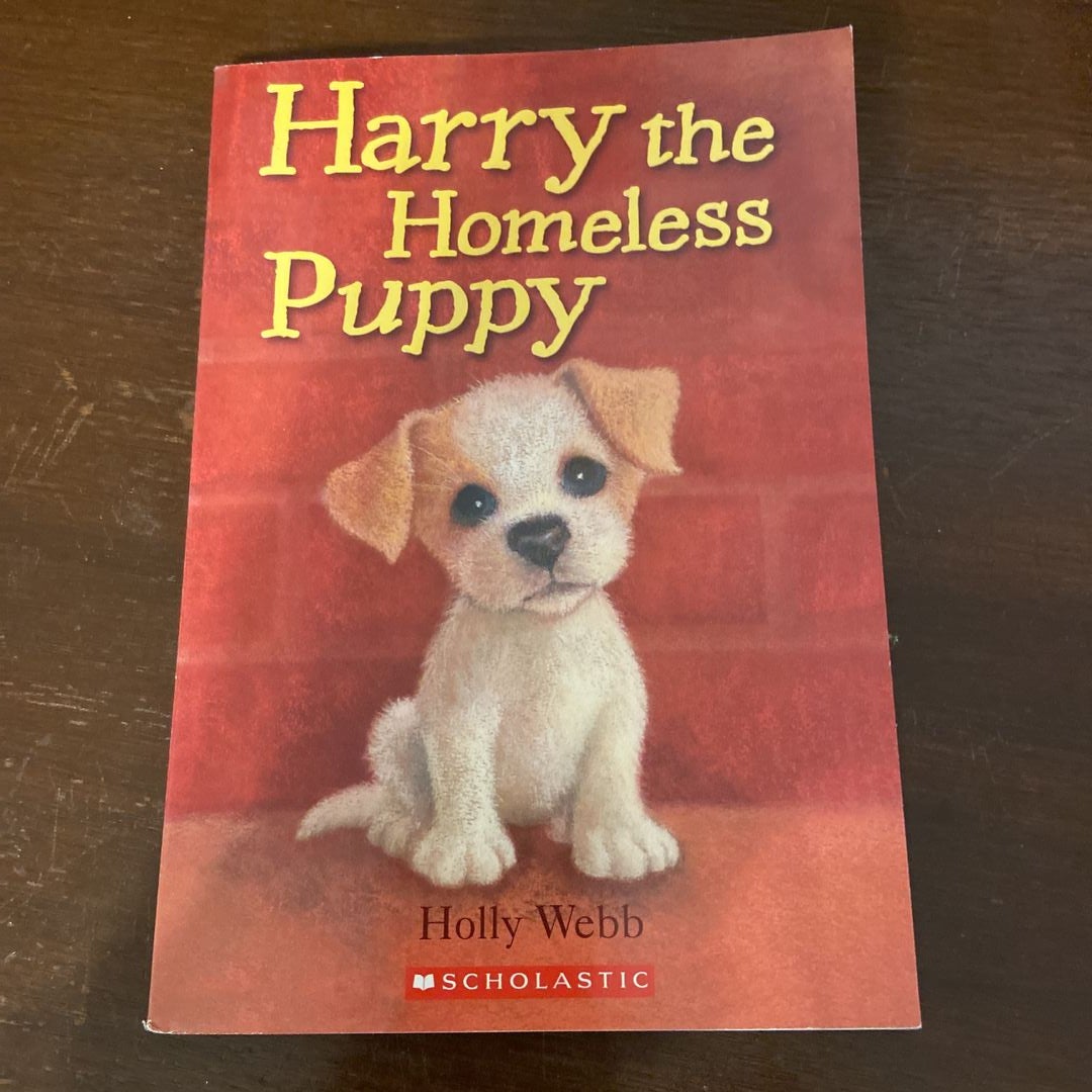 Harry the Homeless Puppy