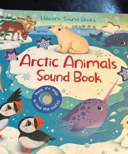 Arctic Animals Sound Book 