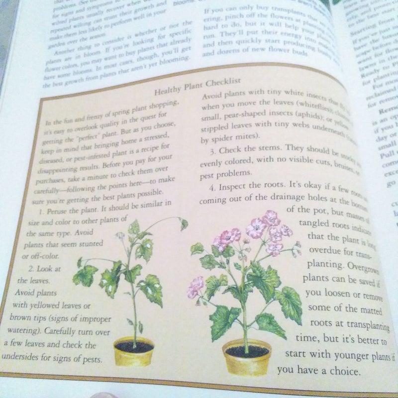 Annuals and Bulbs