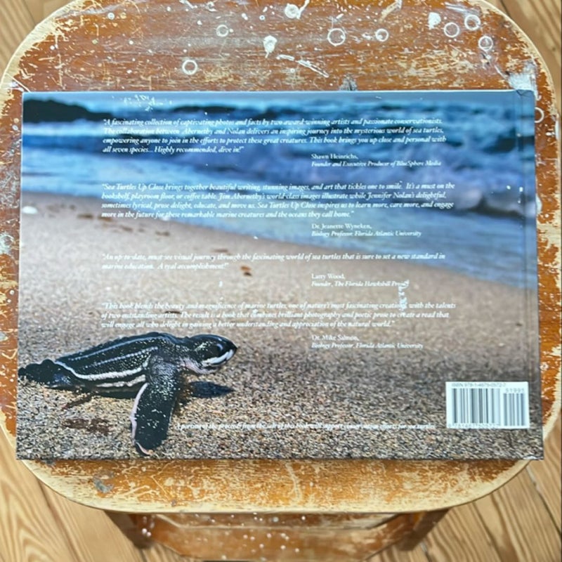 Sea Turtles up Close