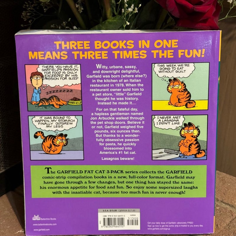 Garfield Fat Cat 3-Pack Paperback Book Bundle