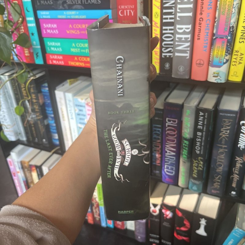 The School for Good and Evil #3: the Last Ever After