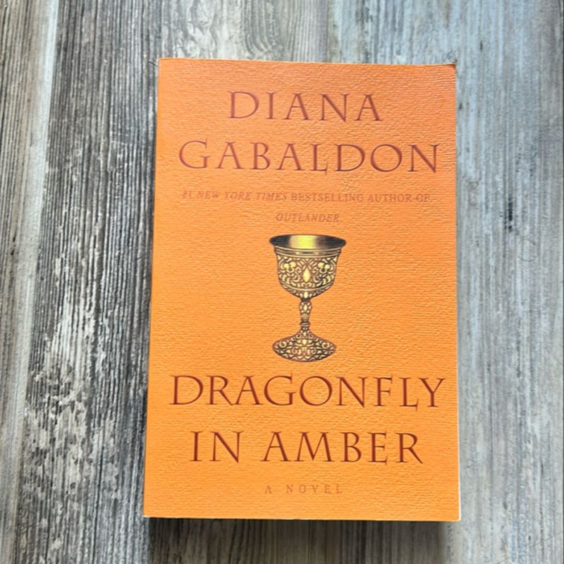 Dragonfly in Amber