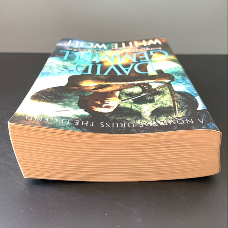 Skilgannon the Damned Duology Books 1-2: White Wolf, The Swords of Night and Day