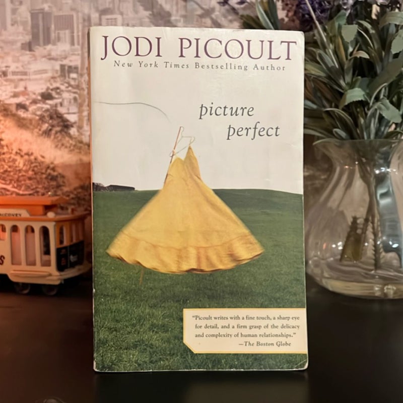 Picture Perfect
