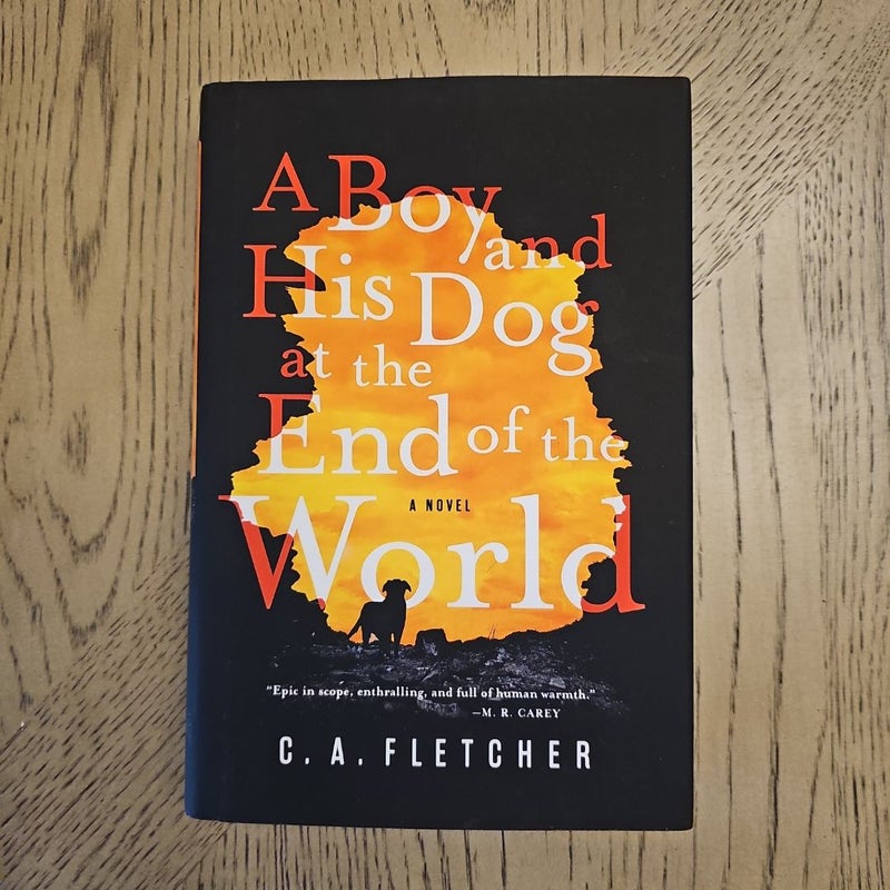 A Boy and His Dog at the End of the World