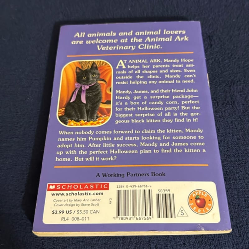 Kitten in the Candycorn