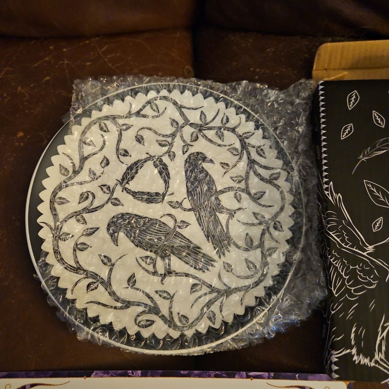 Fairyloot August Ya Bookish Merch Items Tarot Cards Mirror Plate Socks Passport