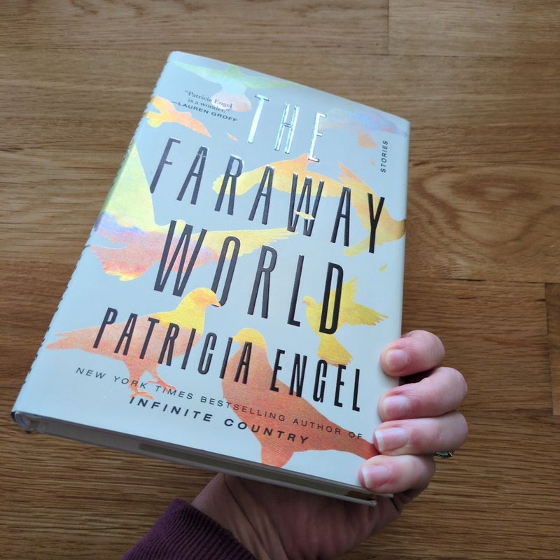 The Faraway World