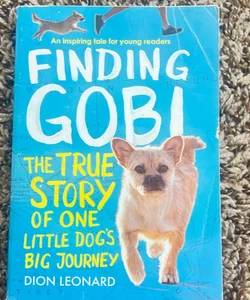 Finding Gobi