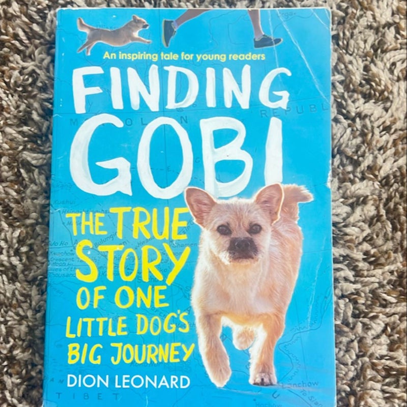 Finding Gobi