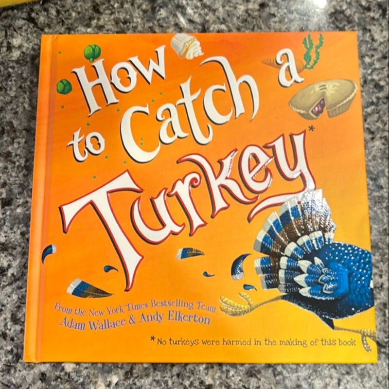 How to Catch a Turkey