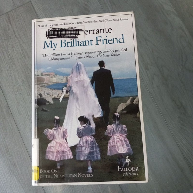 My Brilliant Friend