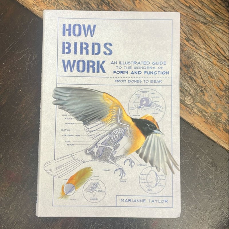 How Birds Work