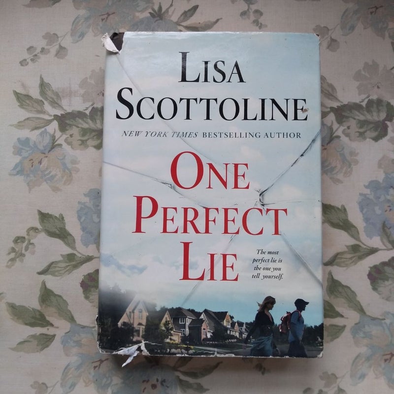 One Perfect Lie