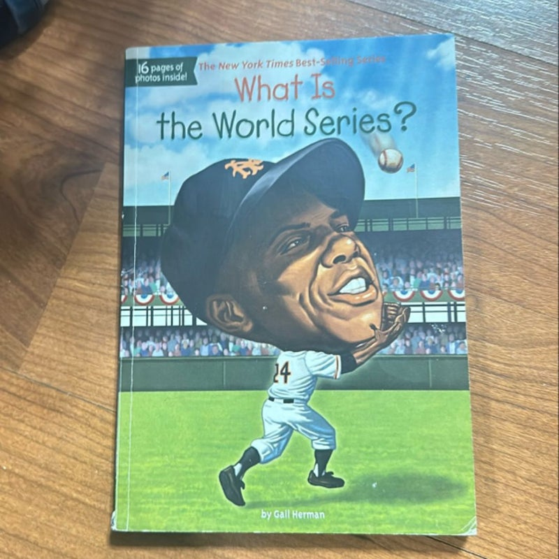 What Is the World Series?