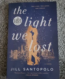 The Light We Lost - LARGE PRINT