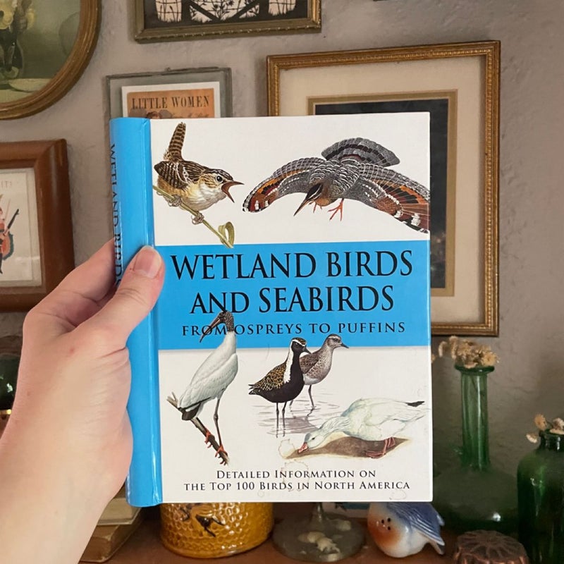 Wetland Birds and Seabirds