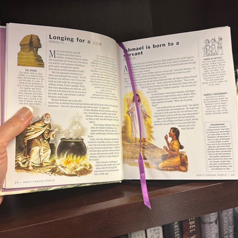 Illustrated Family Bible Stories