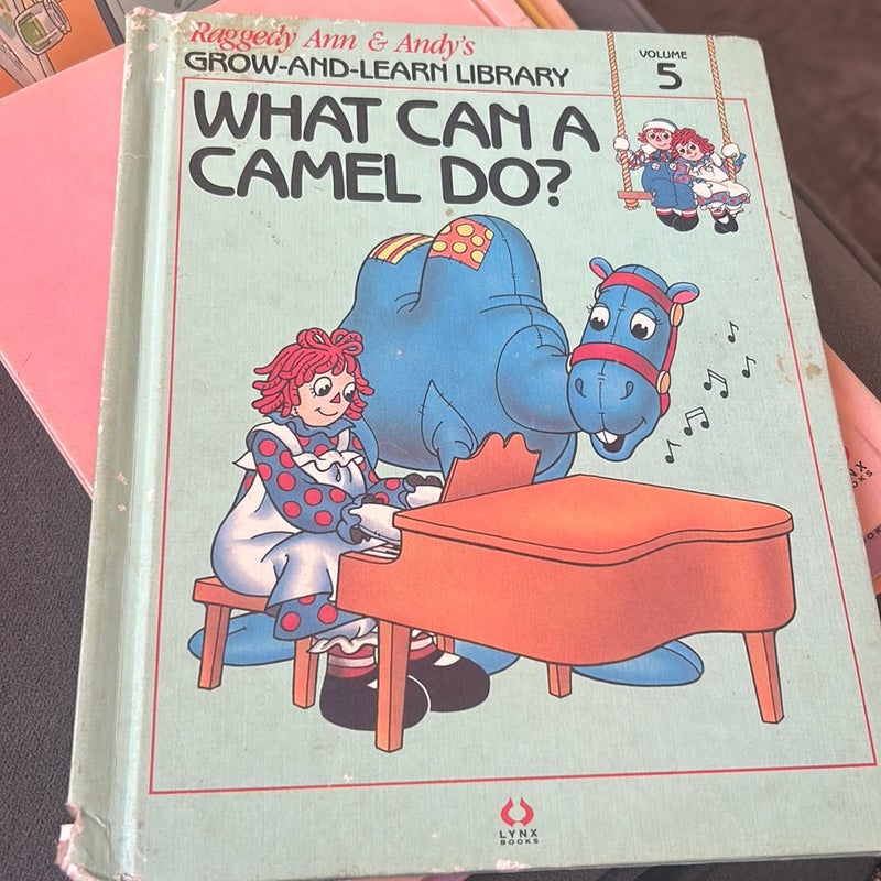 What Can a Camel Do?