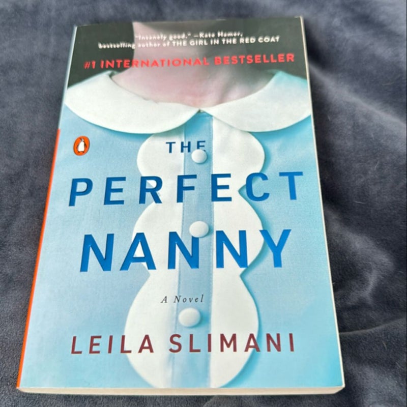 The Perfect Nanny