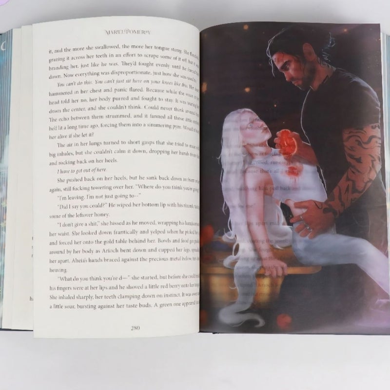 Moonlight Book Box Helfyre & Honey