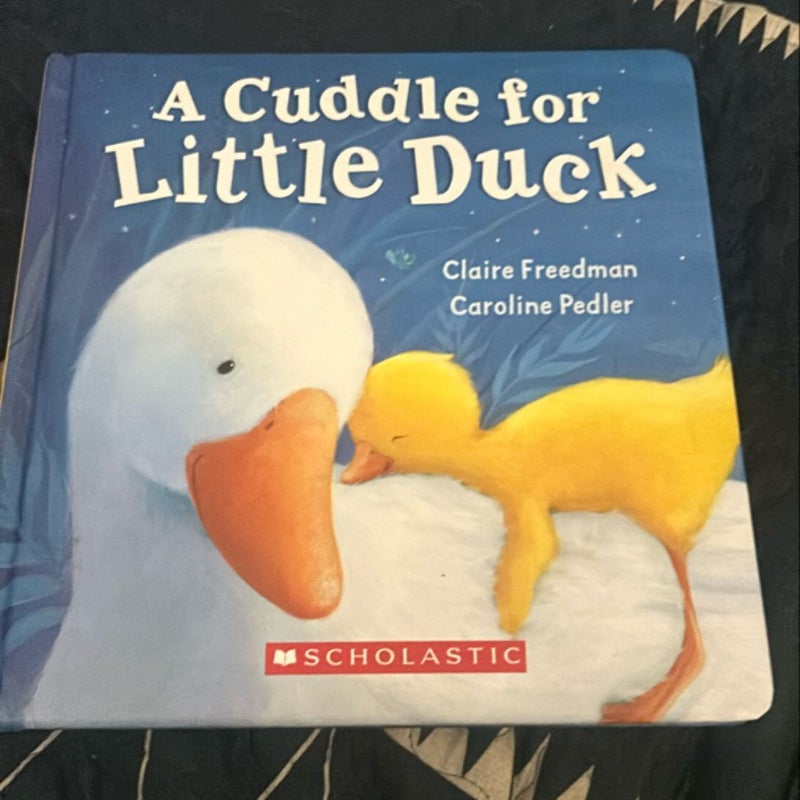 A Cuddle for Little Duck