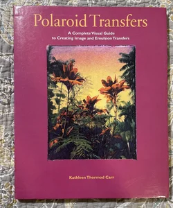 Polaroid Transfers 