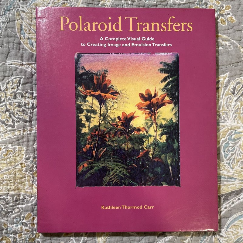 Polaroid Transfers 