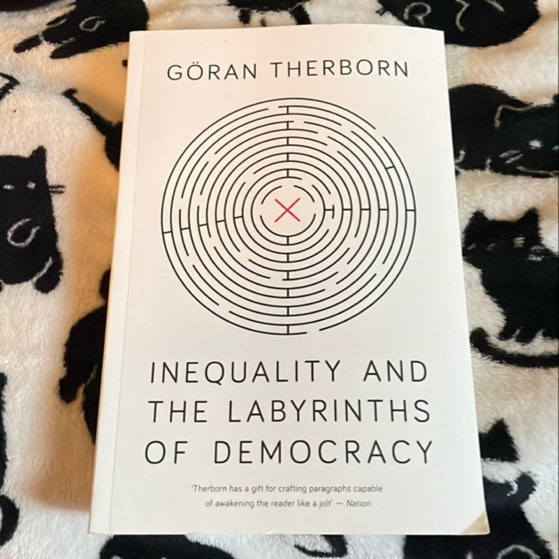 Inequality and the Labyrinths of Democracy