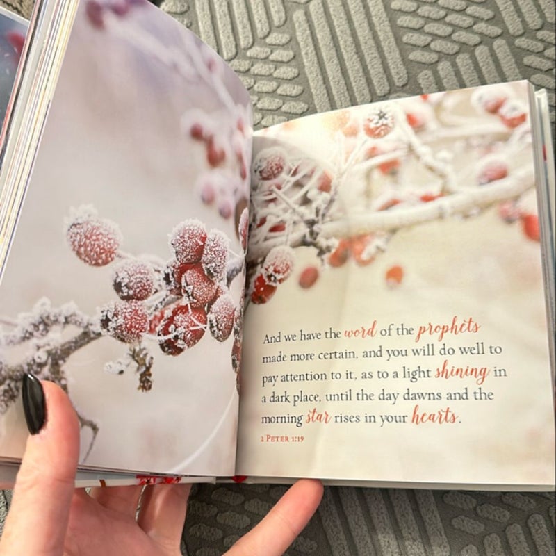 Jesus Calling for Christmas