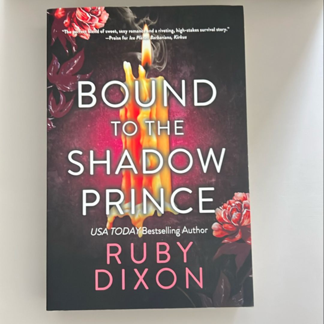 Bound to the Shadow Prince