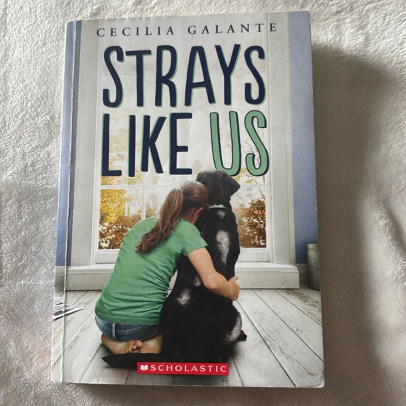 Strays Like Us