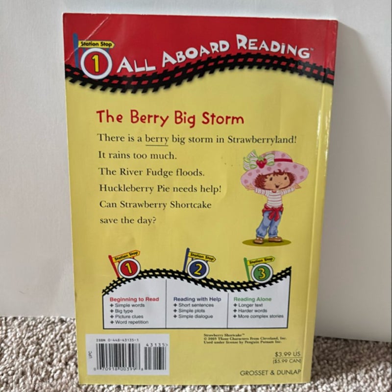 The Berry Big Storm