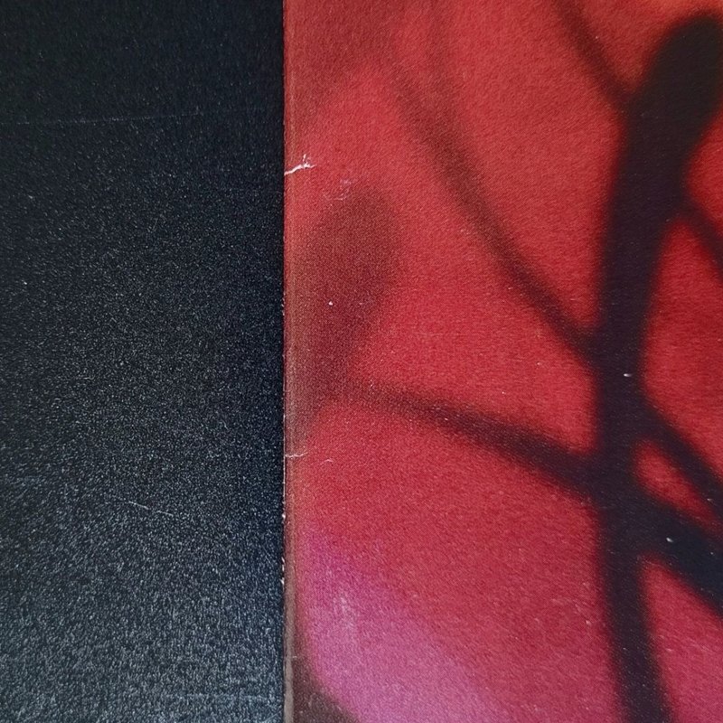 Spider-Man: Spider's Shadow #4